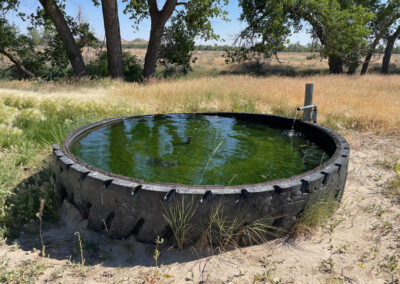 streeter ranch water well