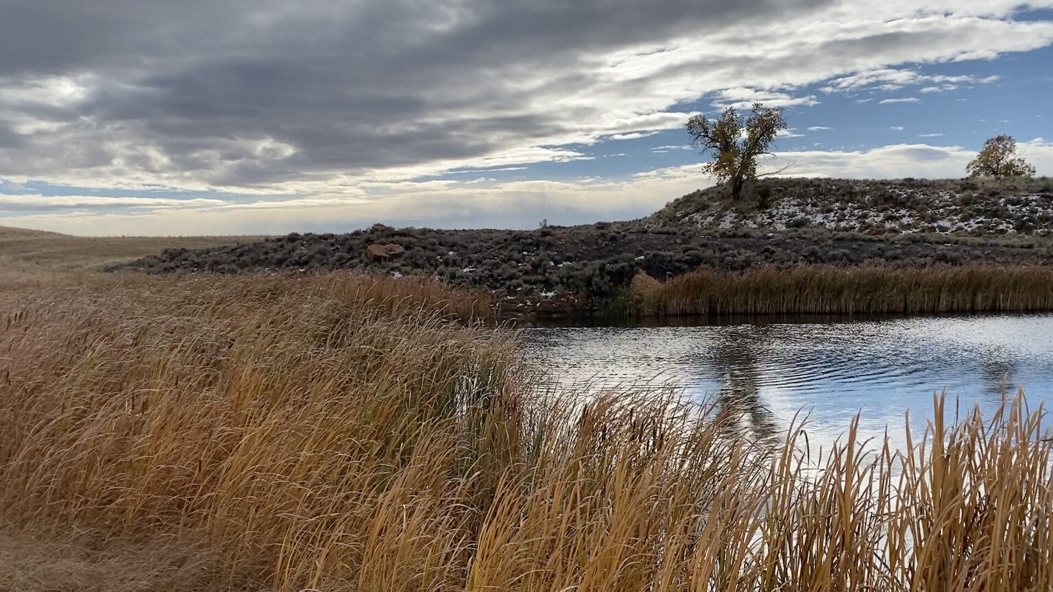 Sheridan County Wyoming Hunting Land