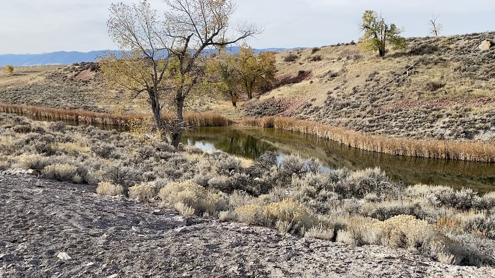 s. ash creek property water views4