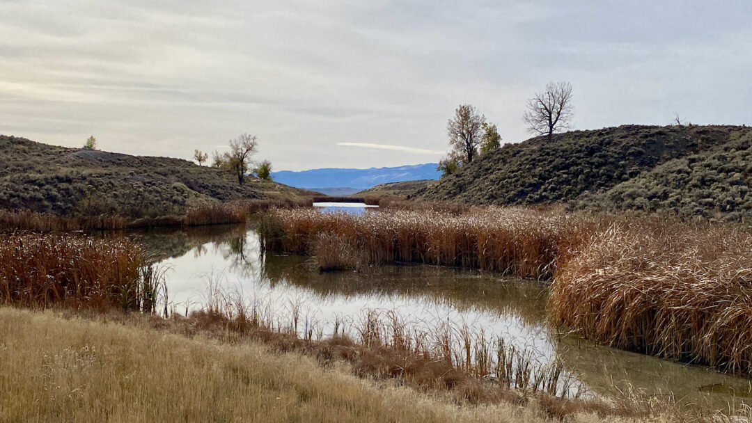 Sheridan County Wyoming Hunting Land