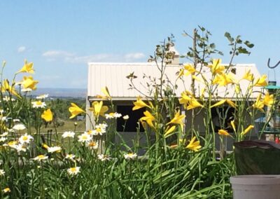 34 Gallatin Drive Sheridan Wyoming custom home for sale on 3.2 acres