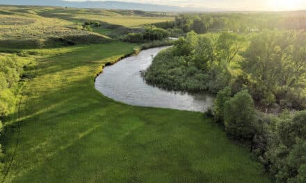 Tongue River Retreat