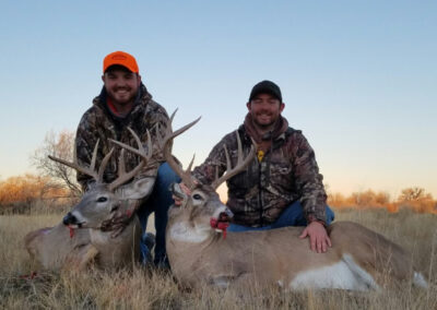A sample of The Powder Hay and Hunting Ranch whitetail deer genetics