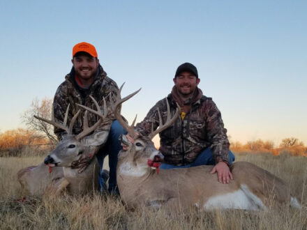 A sample of The Powder Hay and Hunting Ranch whitetail deer genetics