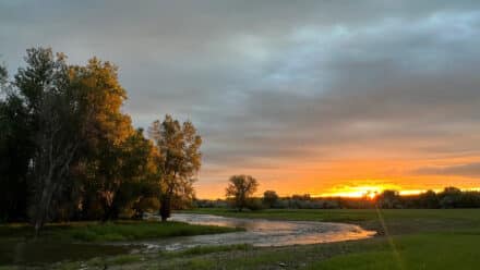 teal spring sheridan june sunrise over little goose creek background image
