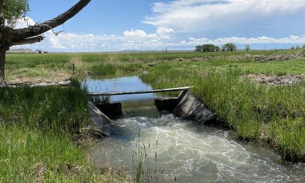 Boysen Reservoir Farmland