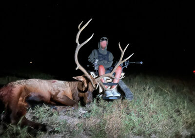 archery 5x6 bull elk harvested on the Powder River Hay and Hunting Ranch