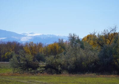 Sheridan Wyoming wooded lots with Bighorn Mountains backdrops