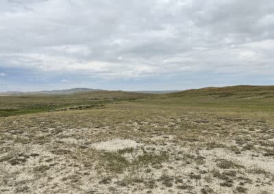 ervay basin grass ranch landscape 1