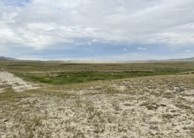 ervay basin grass ranch landscape 2