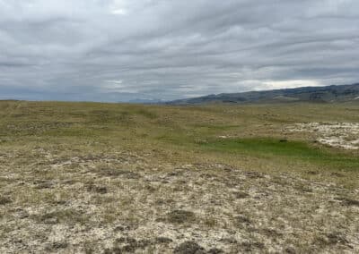 ervay basin grass ranch landscape 3