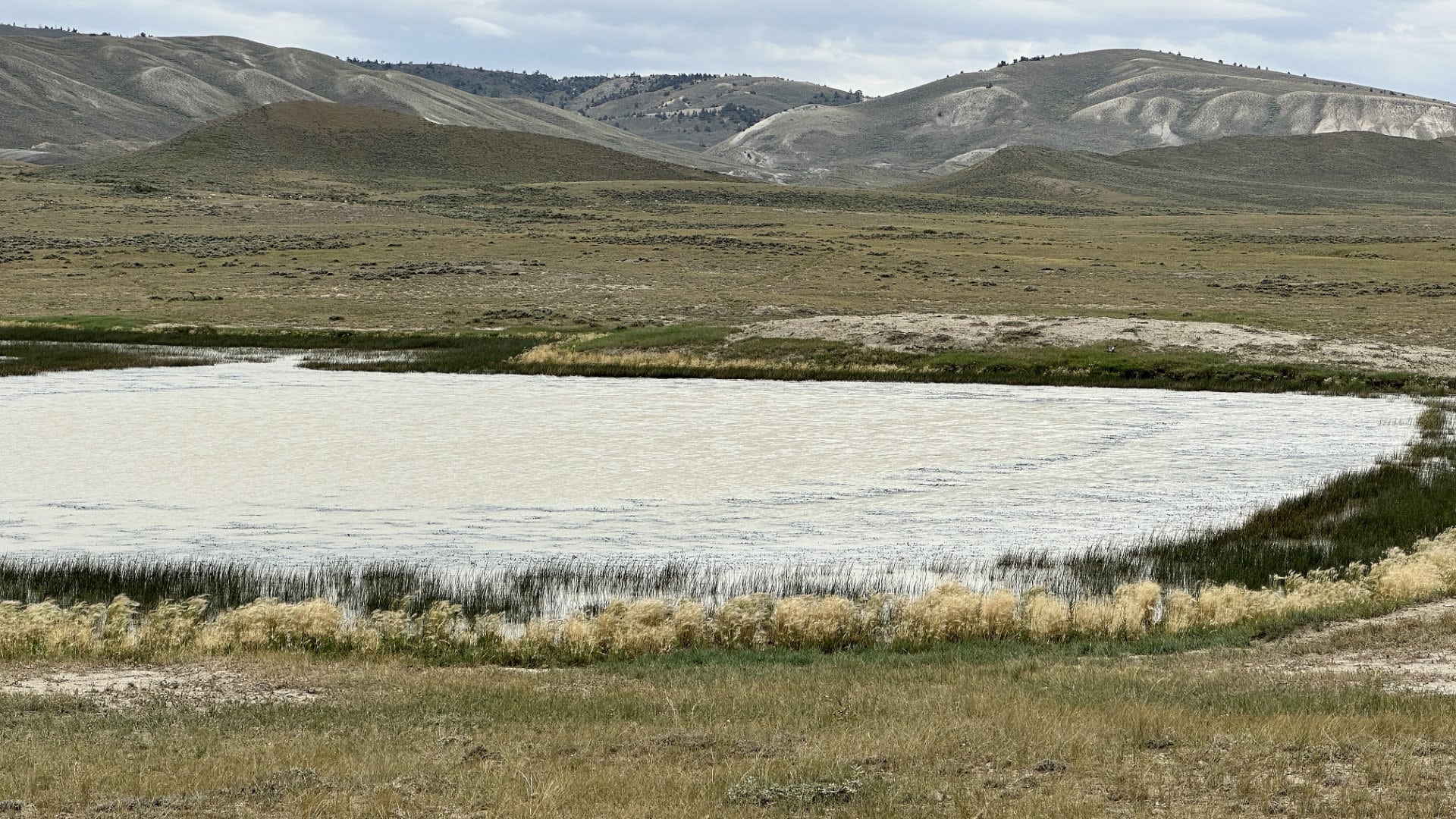 ervay basin grass ranch water feature 2