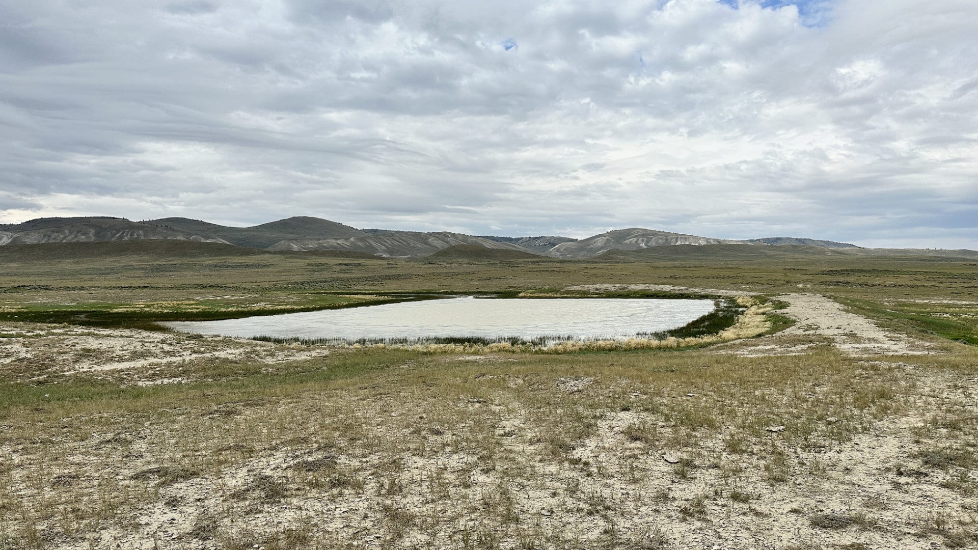 ervay basin grass ranch water feature