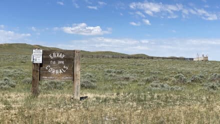 Ervay corrals