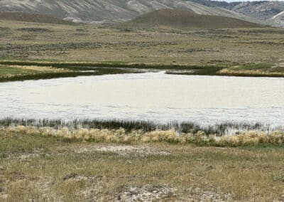 ervay basin grass ranch water feature 1