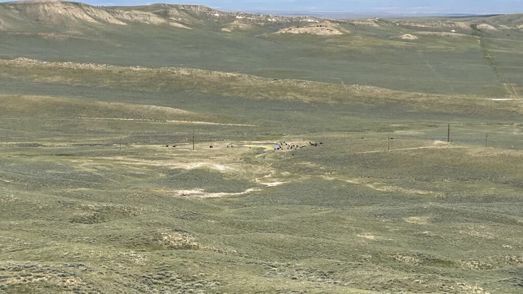 River Basin Ranch Ervay Basin Grass Ranch | Chase Brothers Land and Ranch