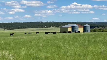 montana ranches for sale