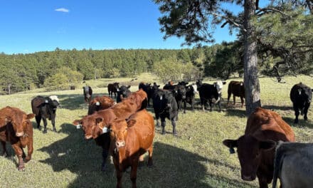 Understanding Acreage and Carrying Capacity