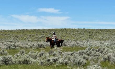 Buying Land in Wyoming & Montana