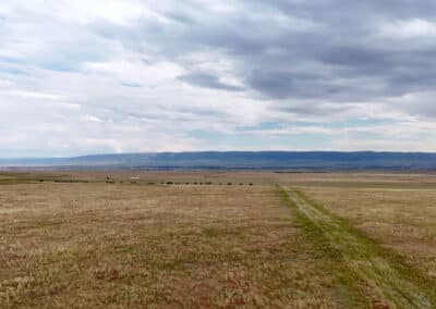 casper harford airfield ranch 0025