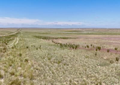 casper harford airfield ranch 0074