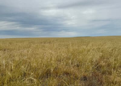 casper harford airfield ranch 4648