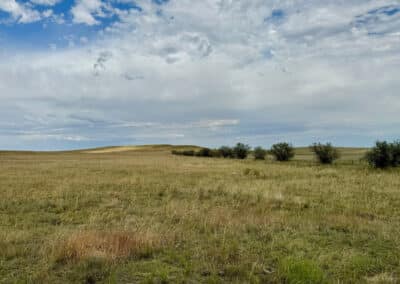 casper harford airfield ranch 4652