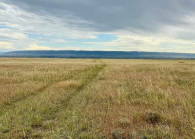 casper harford airfield ranch 4656