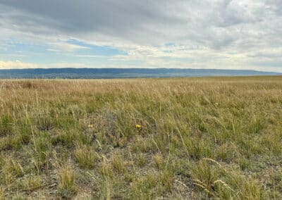 casper harford airfield ranch 4670