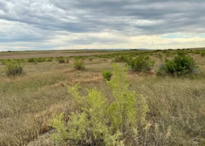 casper harford airfield ranch 4676