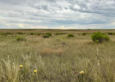 casper harford airfield ranch 4679