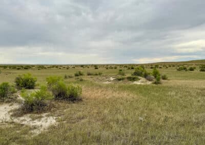 casper harford airfield ranch 4682