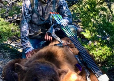 holmes ranch archery black bear