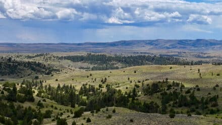 holmes ranch beautiful views