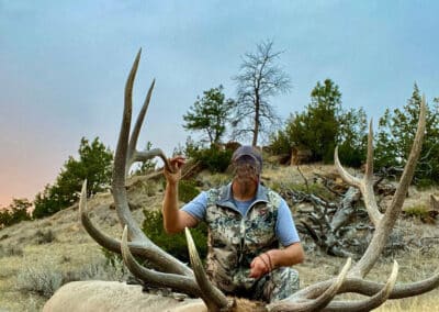 holmes ranch bull elk hunt