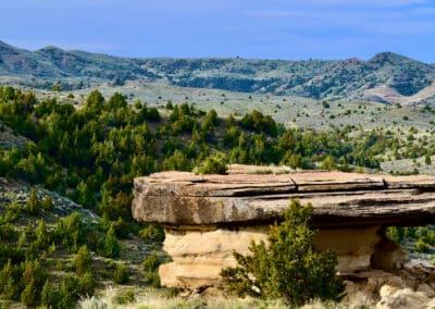 holmes ranch landscape 2