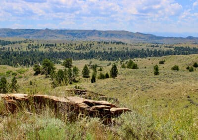 holmes ranch landscape