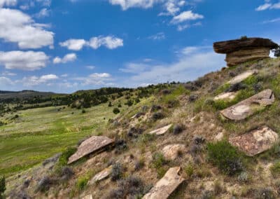 South Deer Creek Ranch landscape