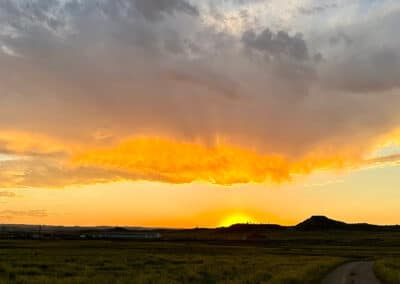 holmes ranch landscape dusk over headquarters