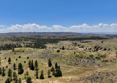 holmes ranch landscape expansive views