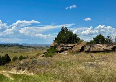 holmes ranch landscape features 2