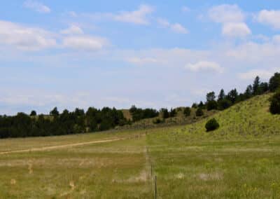 holmes ranch mig grazing before and after