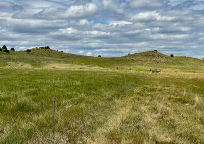 holmes ranch mig grazing paddocks