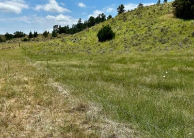 holmes ranch mig grazing typical fence