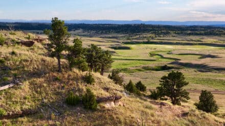 holmes ranch mountain views