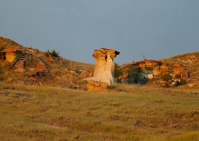 holmes ranch pillar landscape