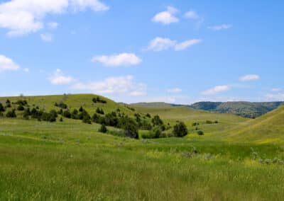 holmes ranch plentiful grass