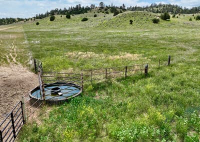 holmes ranch water and grass