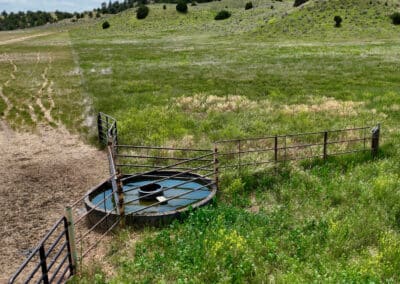 holmes ranch water and paddock setup