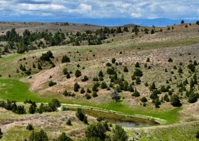 holmes ranch water & grass